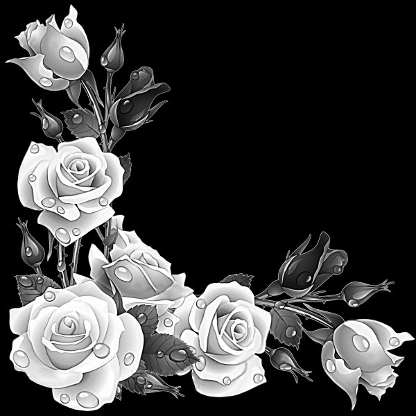 Розы для гравировки на памятниках