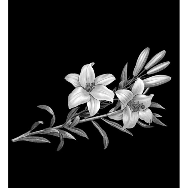 Лилии гравировка на граните