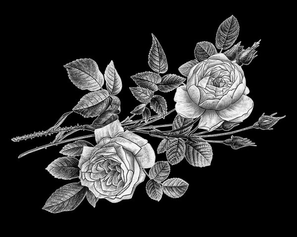 Цветы для гравировки