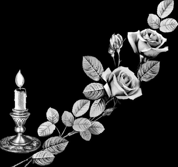 Лилия гравировка