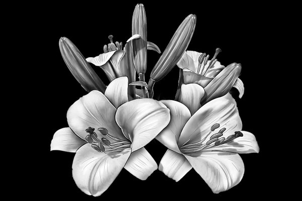 Изображения для гравировки