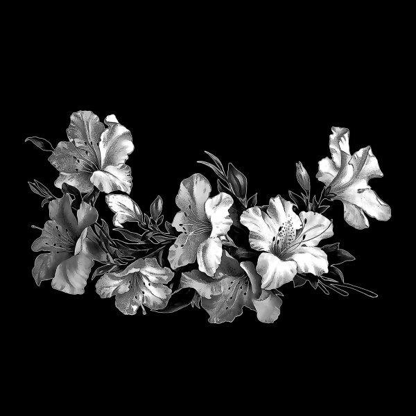 Гвоздики на граните гравировка