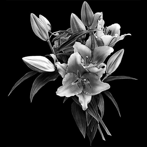 Розы на граните гравировка