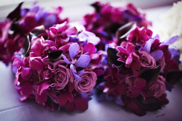 Маджента, фуксия (пурпурный)