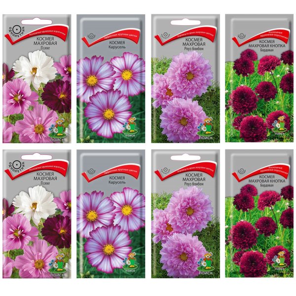 Семена космея махровая кнопка