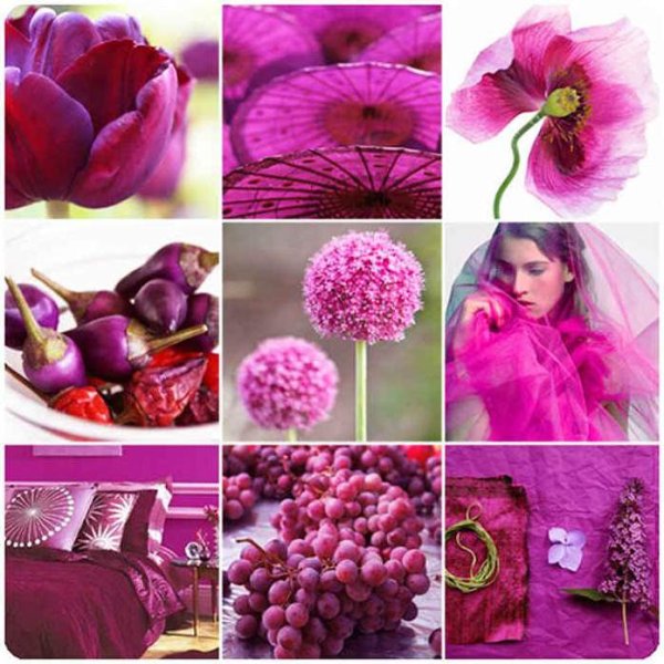 Пурпурно розовый цвет