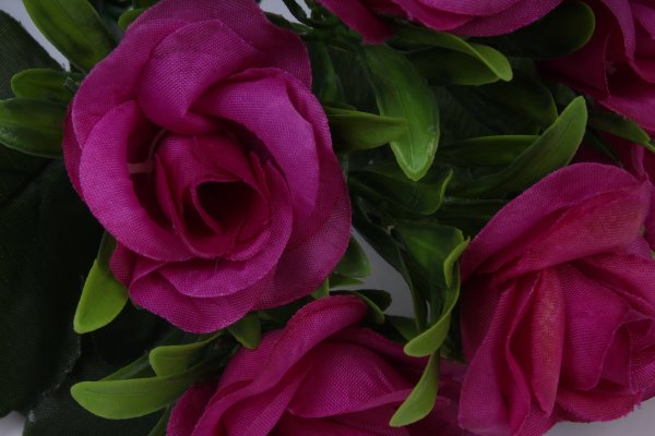 Фуксия ампельная Пегги