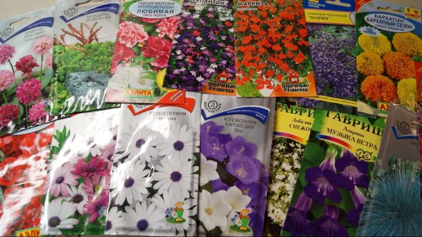 Семена цветов упаковка