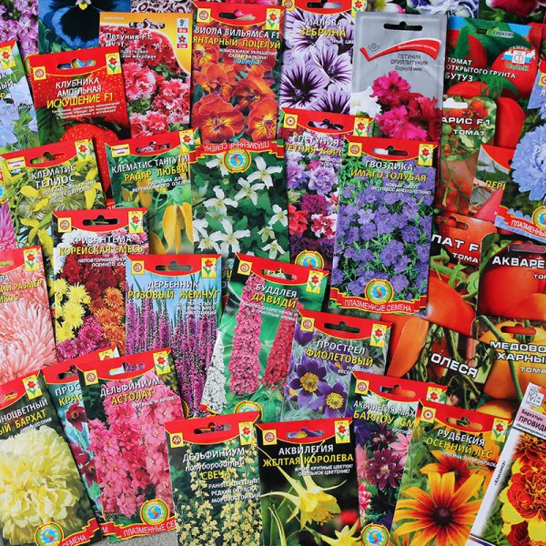 Семена цветов