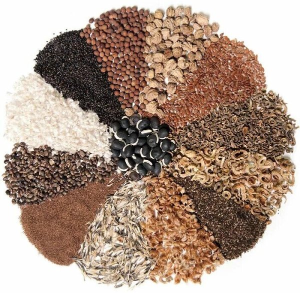 Семена цветов