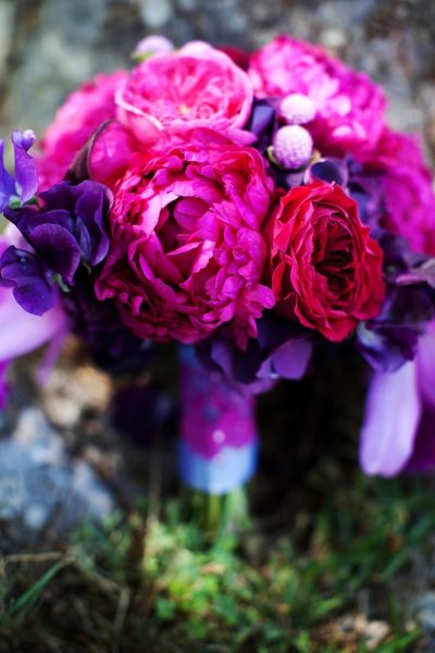 Розы фуксия букет