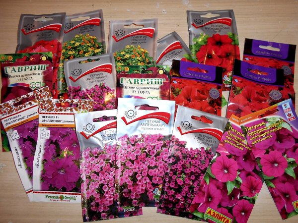 Плоды цветковых растений