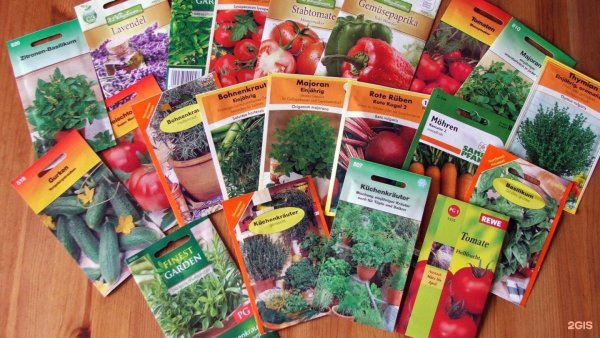 Астра однолетняя семена