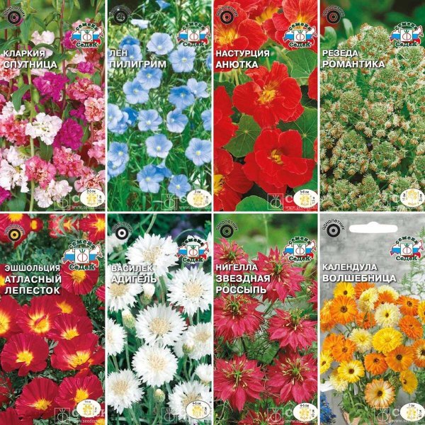 Семена овощей для детей