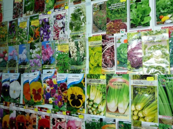 Seeds семена конопляные