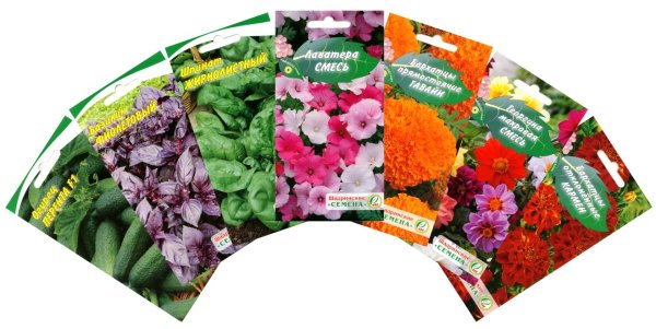 Семена подсолнечникалг50479