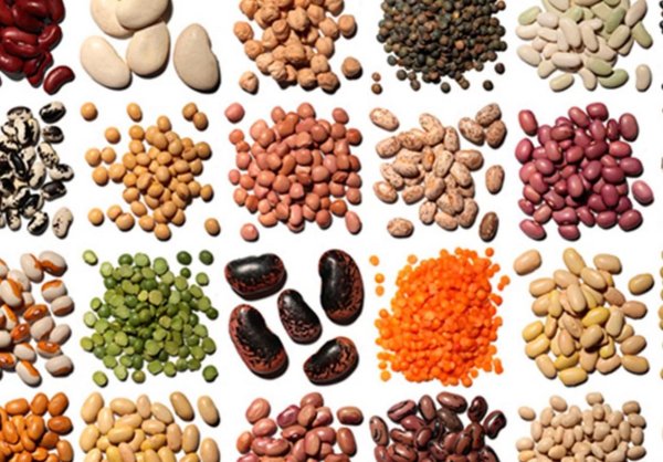 Семена сорных растений Резеды