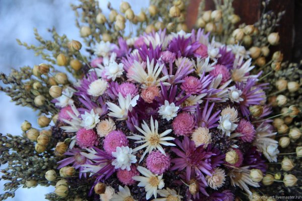 Гомфрена сухоцвет в букете