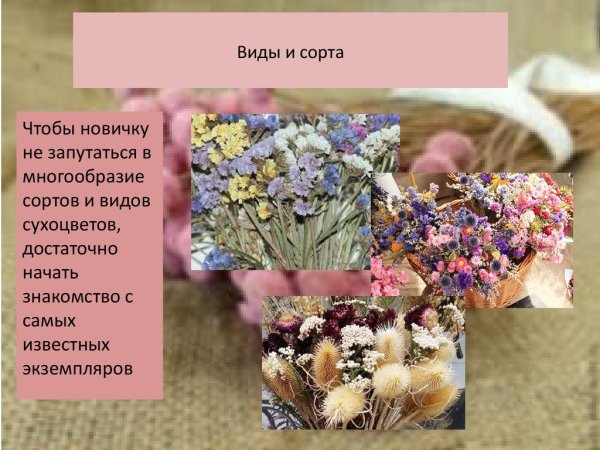 Многообразие сортов