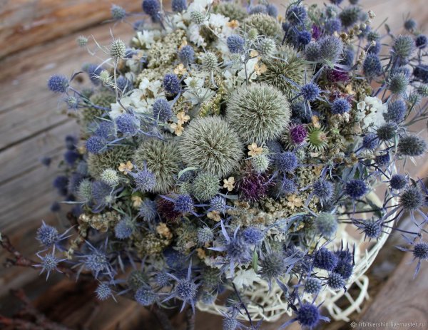 Нигелла сухоцвет