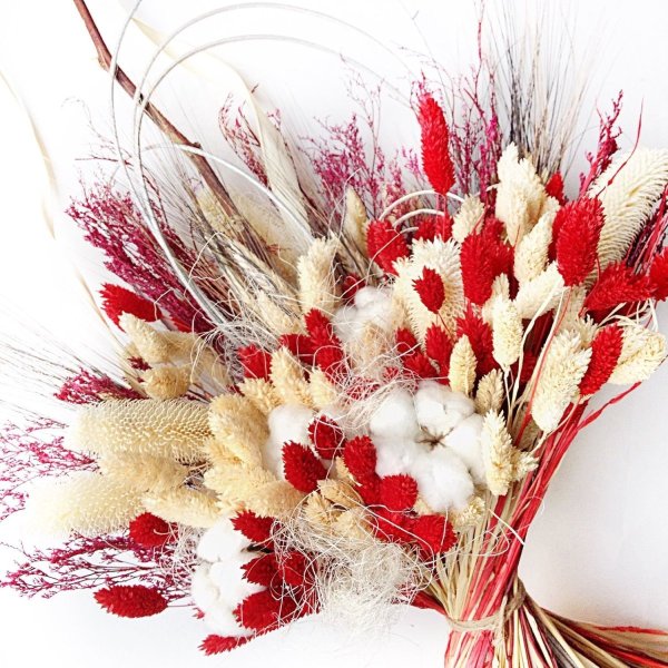 Кардус сухоцвет