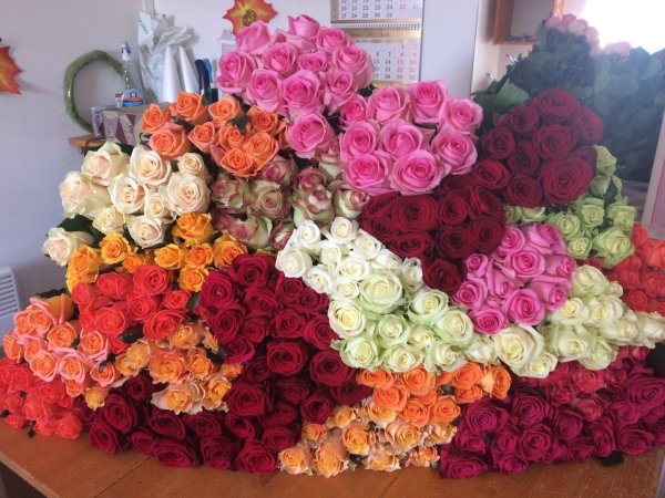 Разноцветные розы