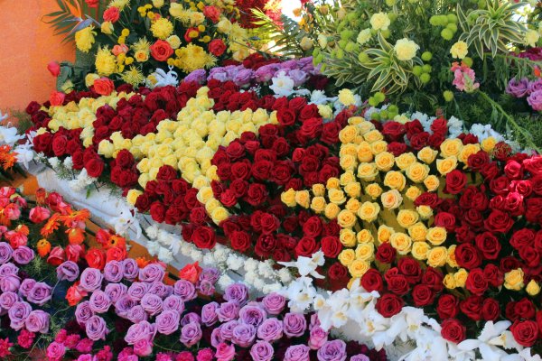 Цветы много