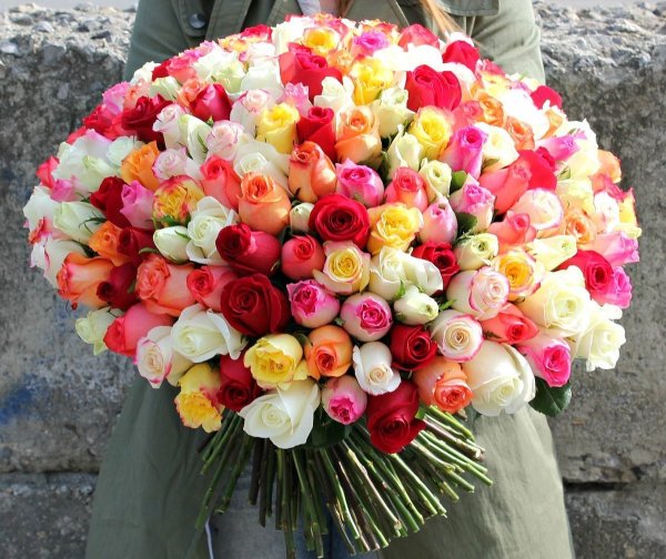 Много разноцветных цветов