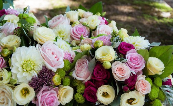 Самый большой букет тюльпанов