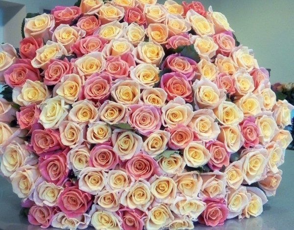 Яркие цветы