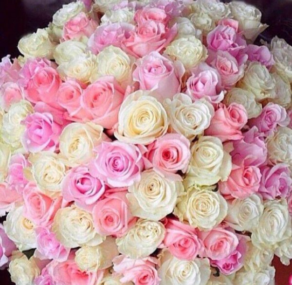 Букет шикарный