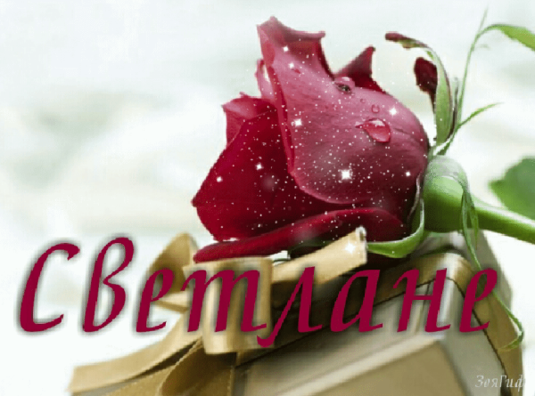 Цветы для Светланы