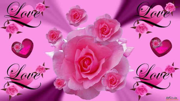 Розы любимой Светлане