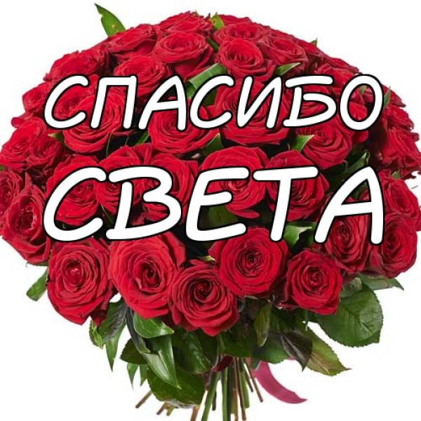 Спасибо света