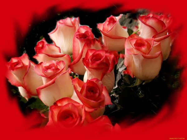 Цветы для милой и дорогой