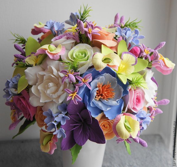 Гортензия флористика