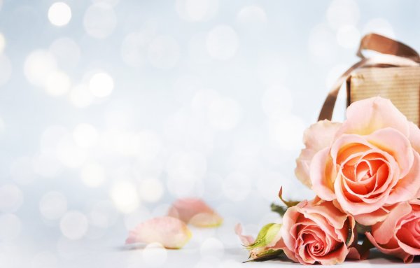 Красивые цветы в подарок