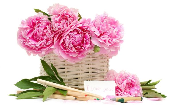 Подарок розовый