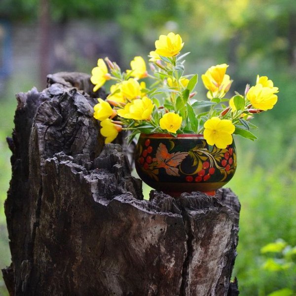 Горшок пень