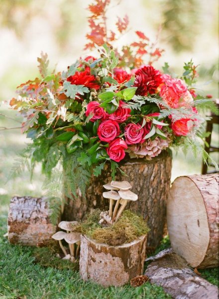 Композиция на пне