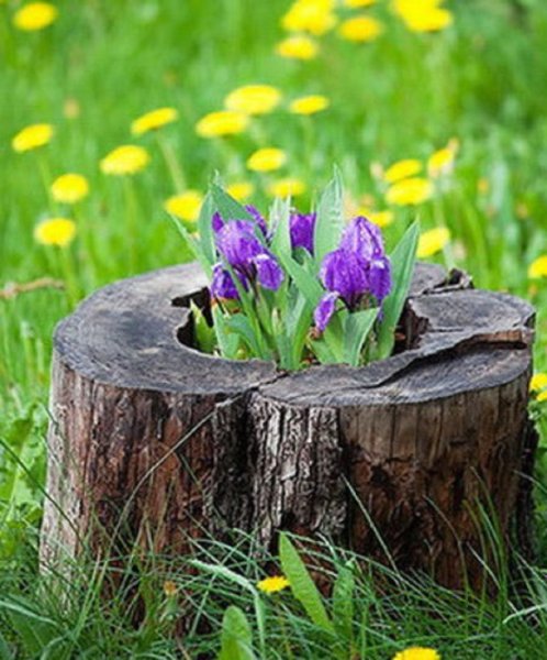 Декоративные пеньки для дачи