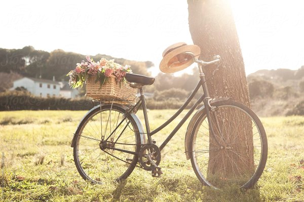 Велосипед цветы шляпка