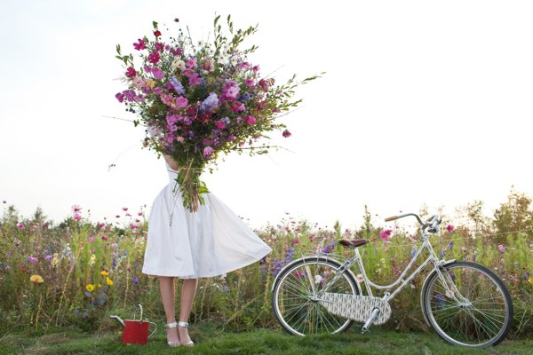 Полевые цветы и велосипед