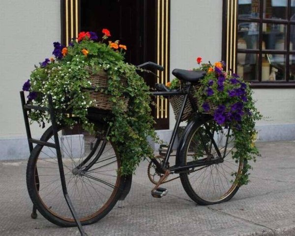 Старый велосипед цветник