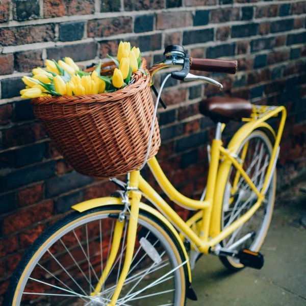 Красивый велосипед с корзинкой