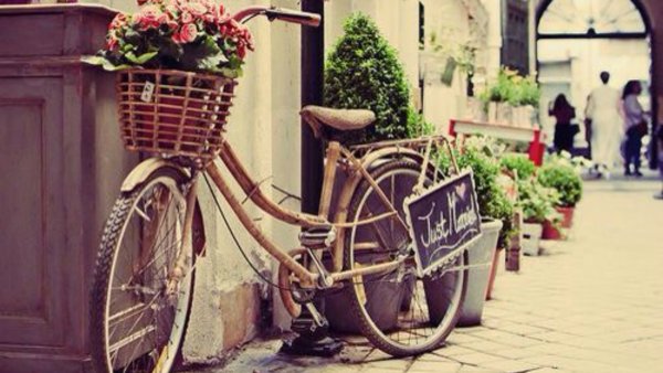 Цветочные улочки с велосипедом