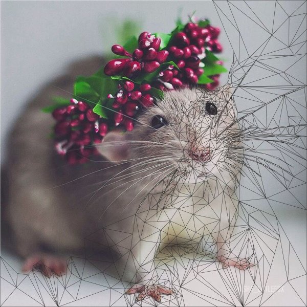 Зверюшки в цветах