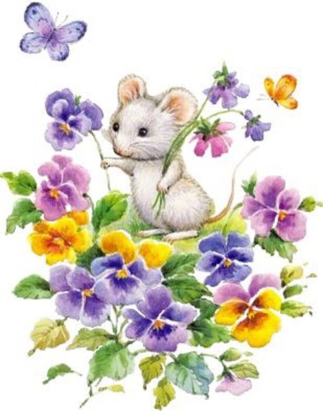 Мышь животное