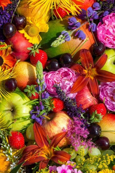 Цветы фрукты ягоды