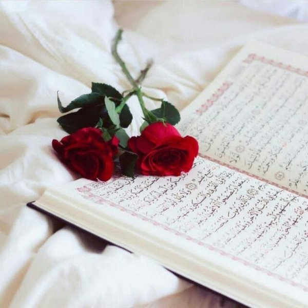 Коран и цветы